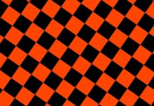 Главный тренер «Сибири»: не все легионеры ещё прибыли в расположение команды Террикон — новости спорта